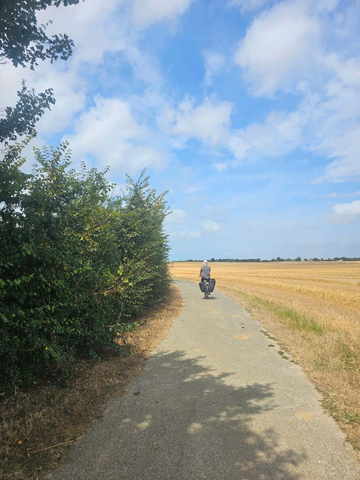 Biking